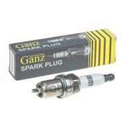 C���� ��������� Platinum (5547/PFR6WTG) VAG - AUDI/Skoda/VW/SEAT/Bentley/LAM�Borghini GANZ ���. GIP20003 ����