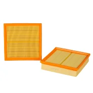 ������ ������ DEES filters DSC1009 ����