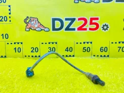 ������-���� [374977] Chevrolet: TrailBlazer | DT13S | 2006 ��� | LM4 | ��������|DZ25 ����