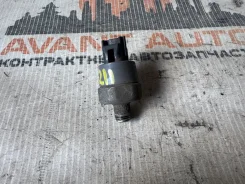 ������ �������� �����, ������ 82000�� ����
