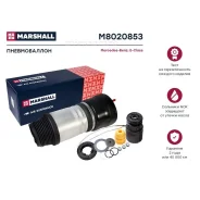 ������������ ������. ����. Marshall M8020853 ����