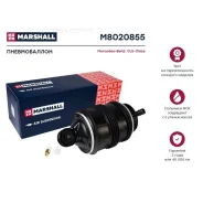 ������������ ����. ����.! MB W211 Marshall M8020855 ����