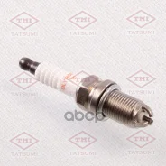 ����� ��������� Multielectrode DLYR6EQM-10 BKUR6ET-10 AUDI/VW/Skoda/SEAT/Mercedes Tatsumi ���. THS3001 ����