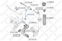 ���� ����. ���. Mazda 3 03> | ����� ����/��� | FORD Focus III 2.0 Ti-GDi 11>20/ FORD Focus III 2.0 GDi 11>20/ FORD KUGA II 1.6 EcoBoost 4x4 13>14/ FORD Focus II 1.6 TDCi 04>12/ FORD Focus II 2.0 TDCi 04>08/ FORD Focus II 2.0 TDCi 04>08/ FORD Focus II... ����