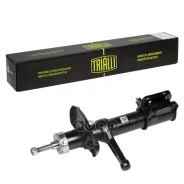 ����������� (������) �����. ����. ����. ��� �/� ��� 2170 Priora | ���� | ��� 2170 Priora Trialli ���. AH01360 ����