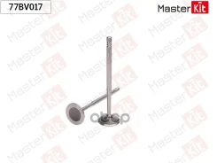 ������ �������� VAG MasterKit ���. 77BV017 MasterKit ����