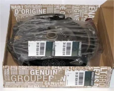 �������� ��������� Renault ���. 302050901R Renault ����