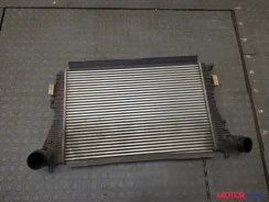 �������� ����������� Volkswagen Passat 6 2005-2010 21366443 ����