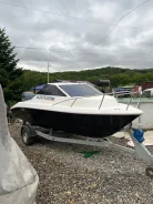 ������ Gayar-181 ����