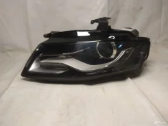 ���� ����� ���� �4
