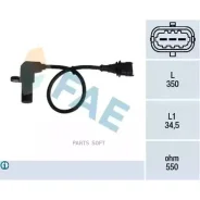 ������ ���� ��������� FAE 79069 ����