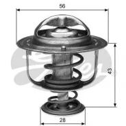 ��������� Gates TH31282G1 ����