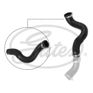 �������� ������� Gates, ���. 09-0617 ����